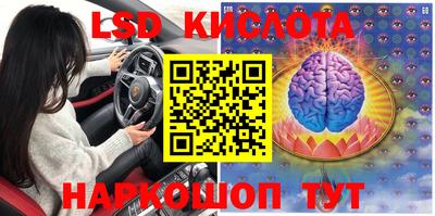 спиды Свободный