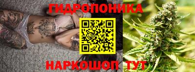 спиды Свободный