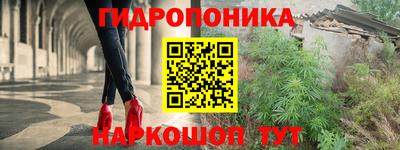 спиды Свободный