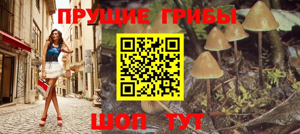 Псилоцибиновые грибы GOLDEN TEACHER  Вход с VPN  Озёры 